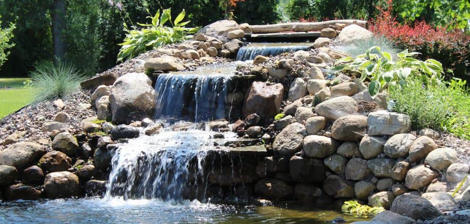 backyard watergarden
