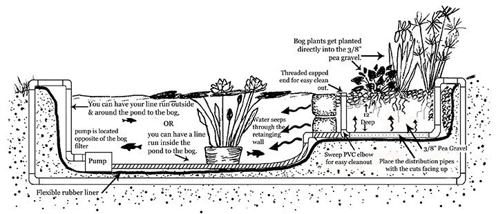 bog filter example