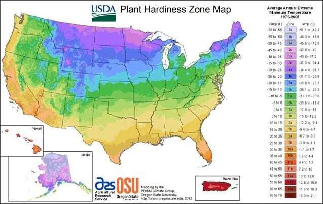 USDA plant hardiness Zone
