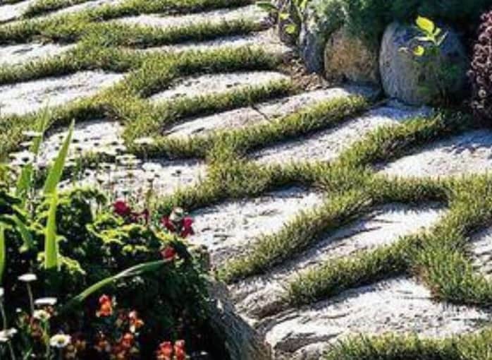 flagstone-in-grass flagstone path
