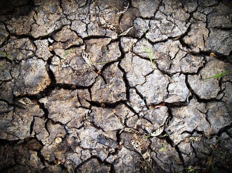 gardening in clay soil