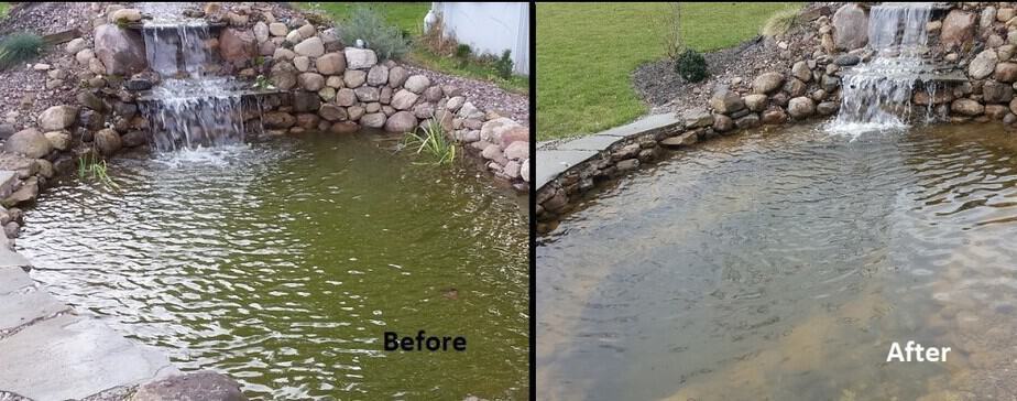 pond algae control before and after