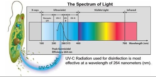 UV light sterilization range