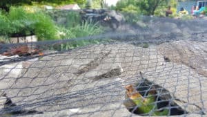 black autumn pond netting