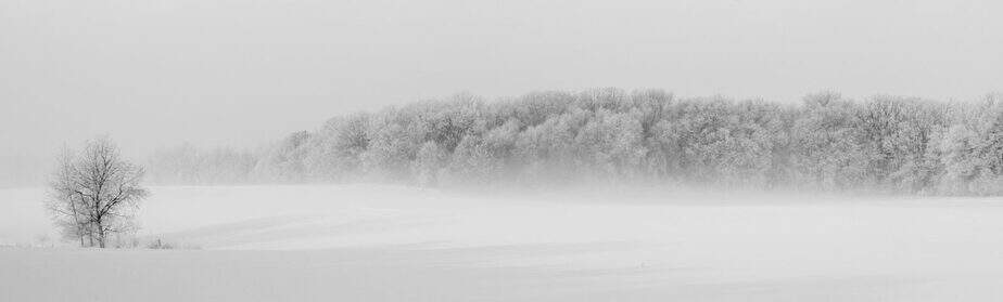 winter landscape