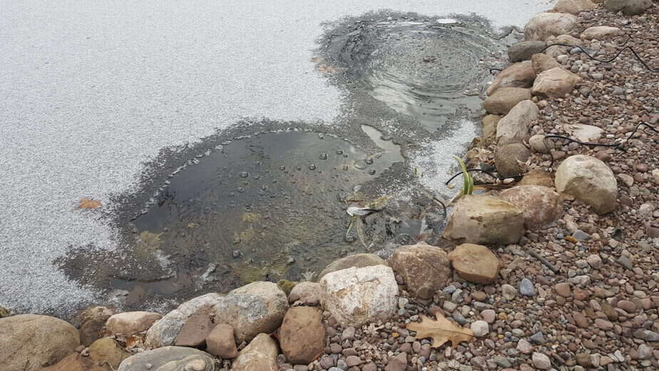 All You Need To Know About Aerating Your Pond Backyard Water Garden