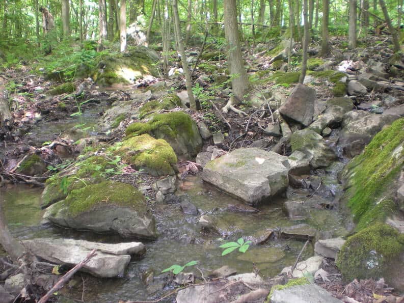 a quiet stream in the woods