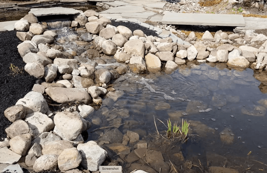 typical backyard pond and waterfall setup