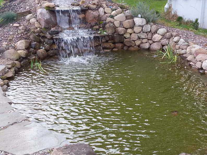 green water pond