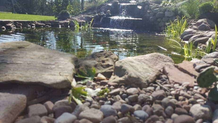backyard pond with waterfall