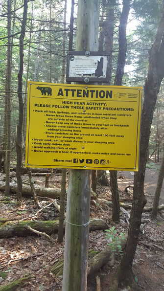 mount marcy trail bear warning