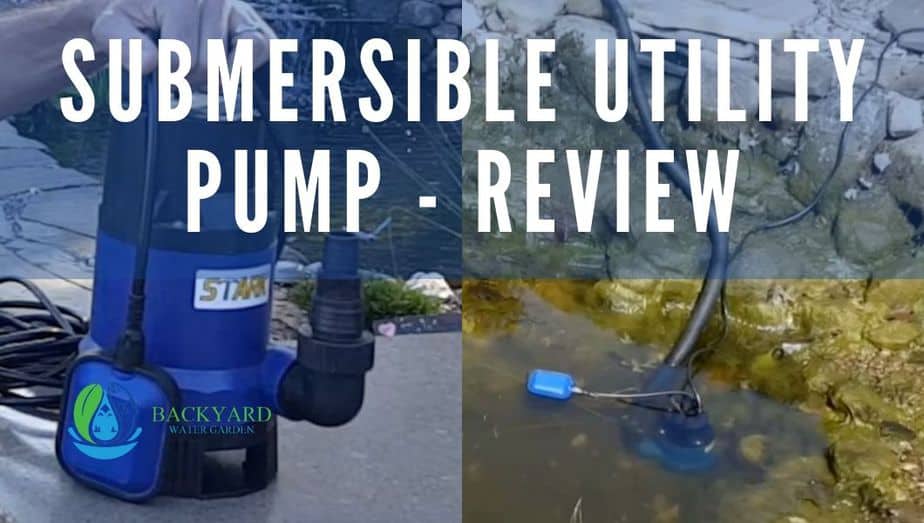 Submersible pump review featured image