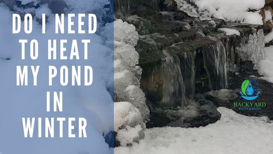 Do I Need to Heat My Pond In Winter blog banner