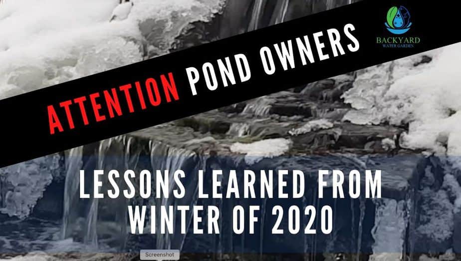 Attention Pond owners post (1)