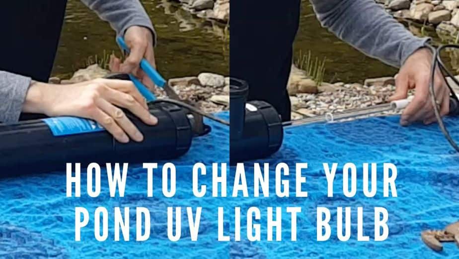 how to change UV light bulb post