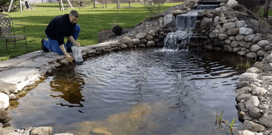 Pond with very few plants