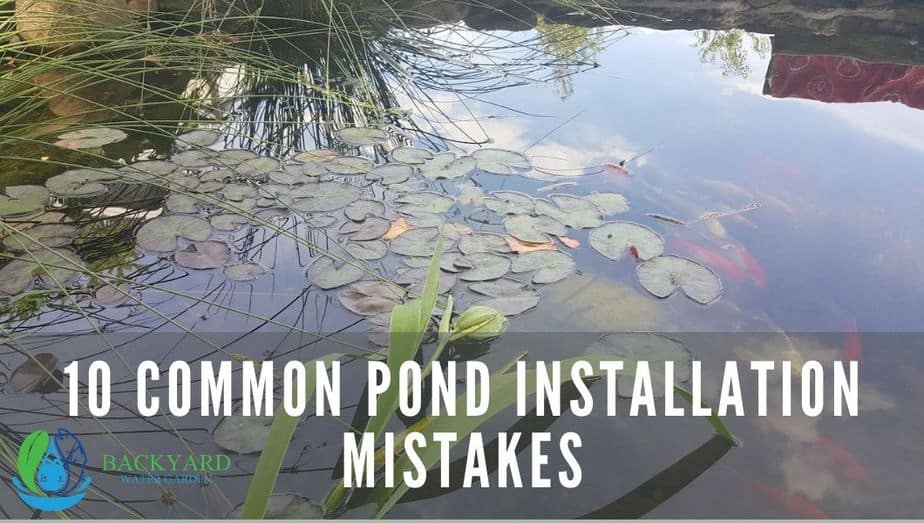 10 Common Pond Installation Mistakes post