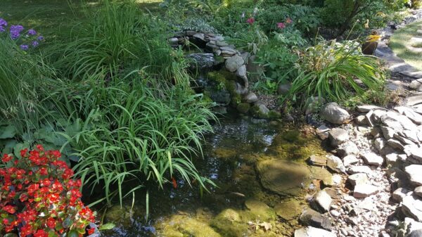 How To Build The Ultimate Backyard Pond - Backyard Water Garden