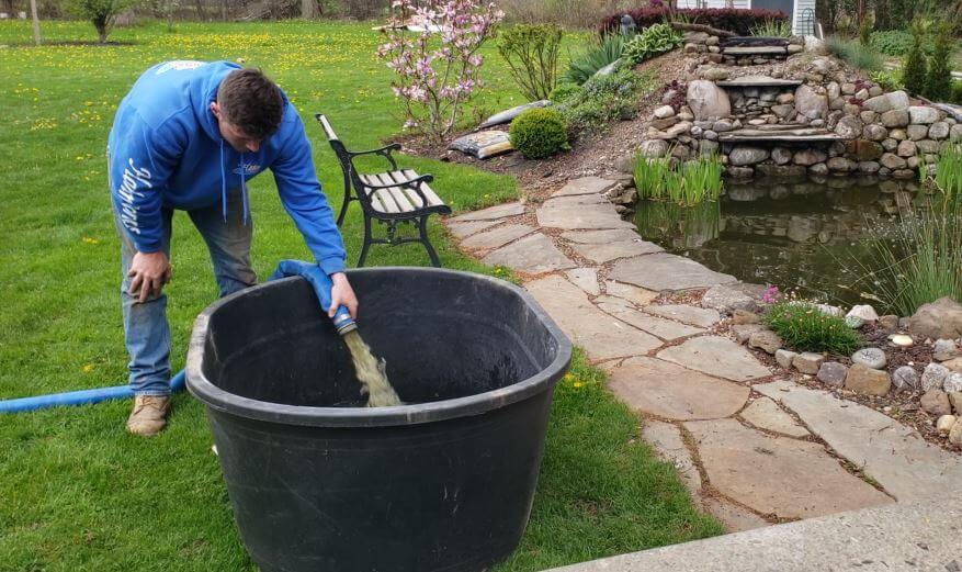 Prepare koi fish holding tank